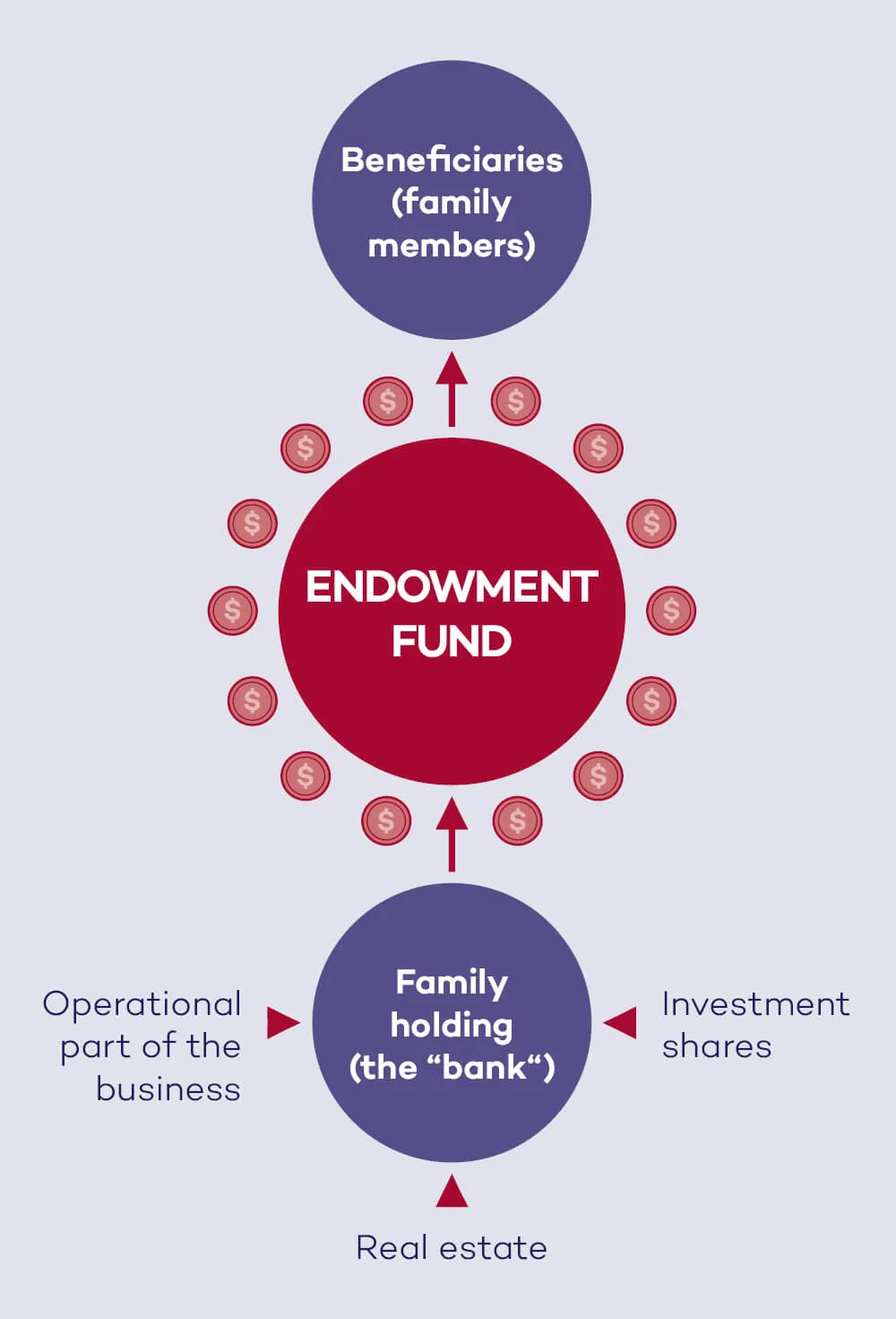 Diagram of the flow of assets: the operating part of the business, investment holdings and real estate flow into the family holding (“bank”); an arrow leads from the holding to the endowment fund surrounded by coins, and from the endowment fund on to the beneficiaries (family members)