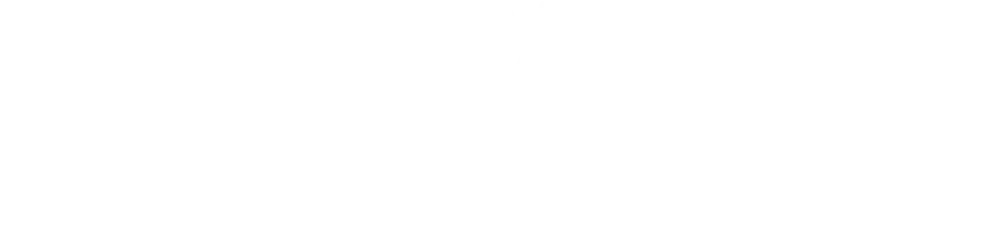 HAVEL & PARTNERS Foundation logo
