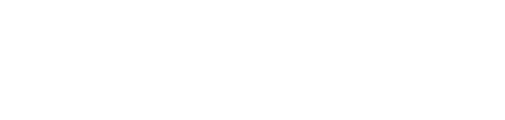 Logo Nadace HAVEL & PARTNERS